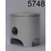 PISTONE POLINI 47.6-D