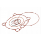 S6-75ET22 KIT GUARNIZIONI O-RING STAGE6 R/T 70/85/95cc